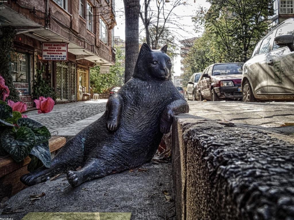 សំណួរដែលជួយក្នុងការពិចារណាវិចារ