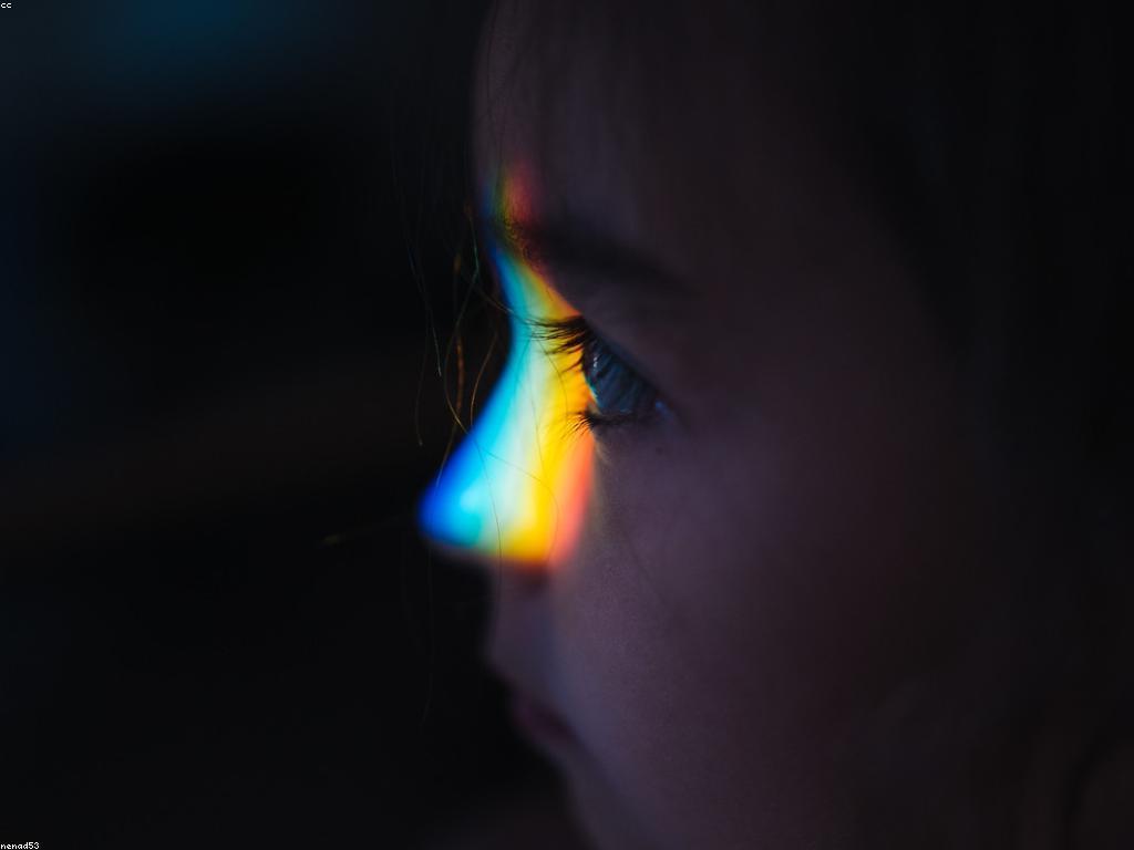 សិល្បៈនៃការនិយាយក្នុងការសម្តែង