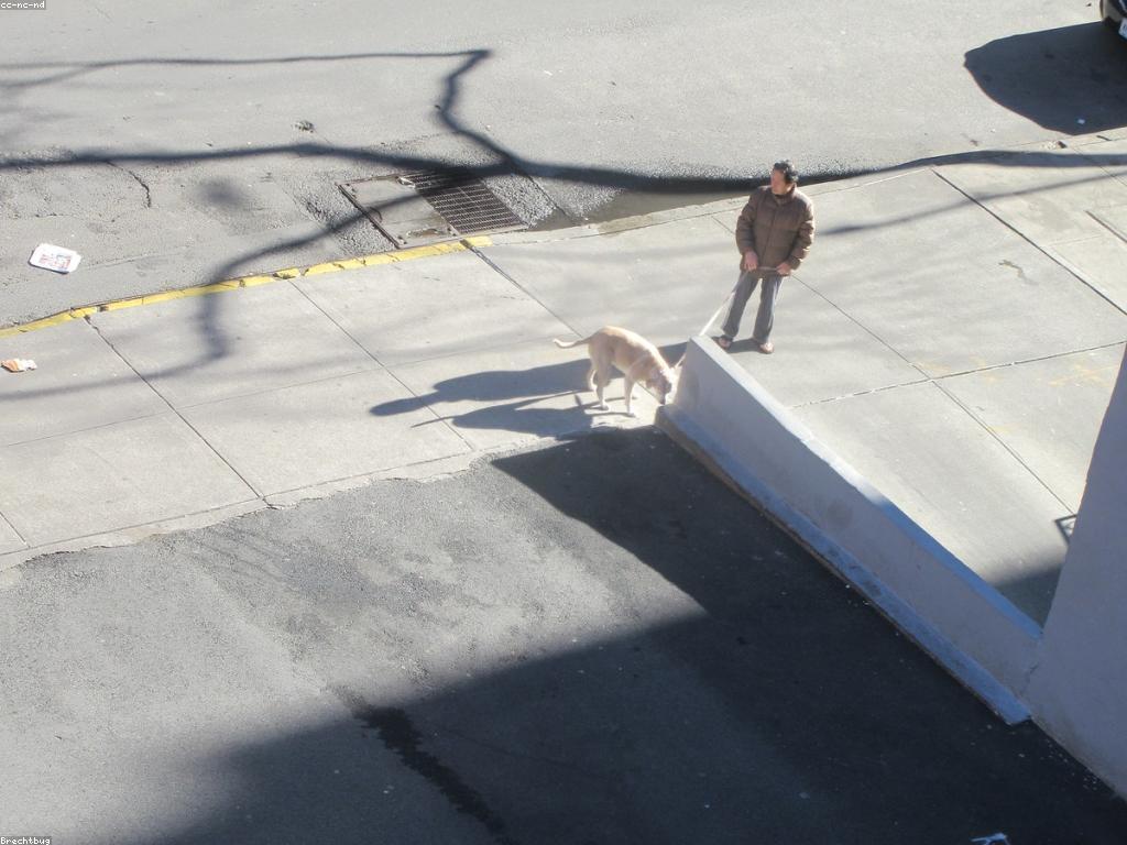 យុទ្ធសាស្ត្រលេង: ការបង្កើតយុទ្ធសាស្ត្រលេងដើម្បីជោគជ័យ